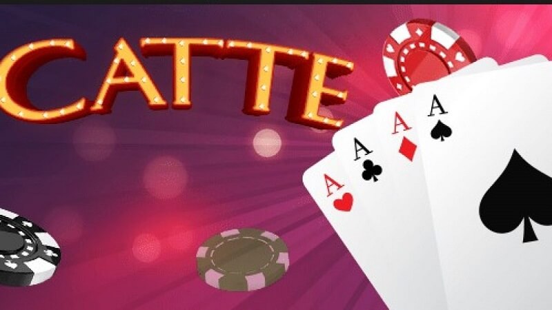 choi bai catte 683ab0733dbc8