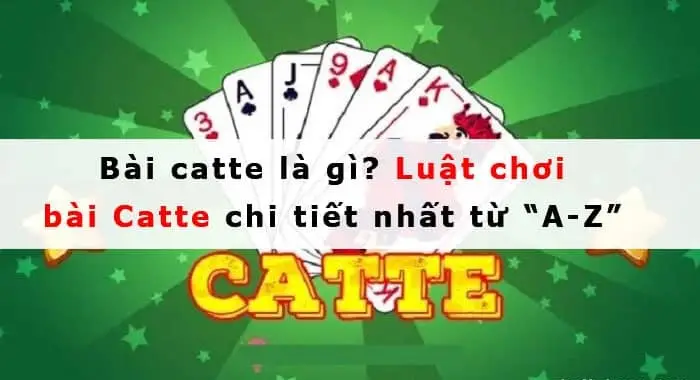 Chơi Bài Catte