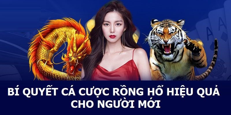kinh nghiem choi casino rong ho 683ab1082687f