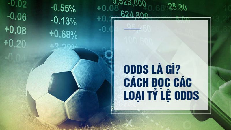 Odds là gì - Khám Phá Thế Giới Của Tỷ Lệ Trong Cá Cược