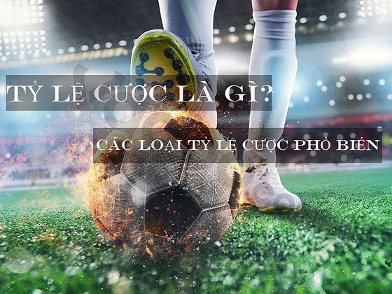 Odds là gì - Khám Phá Thế Giới Của Tỷ Lệ Trong Cá Cược