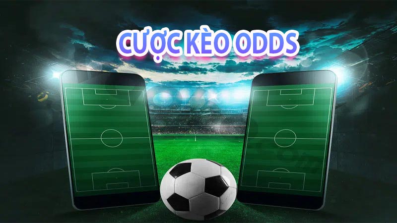 Odds là gì - Khám Phá Thế Giới Của Tỷ Lệ Trong Cá Cược