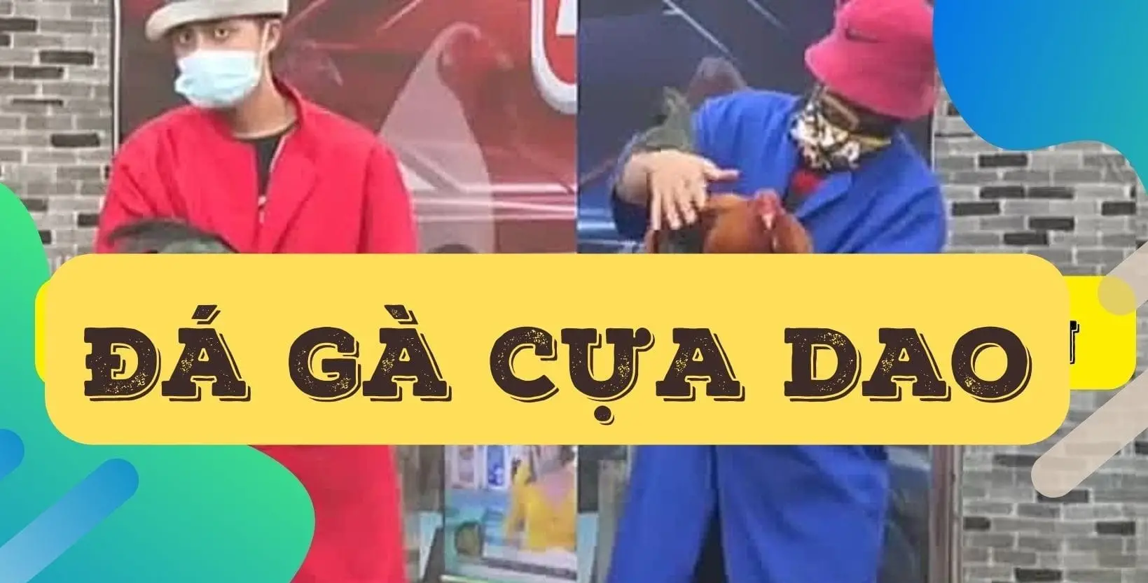 truc tiep da ga cua dao nha cai rik88 683ab194234f4