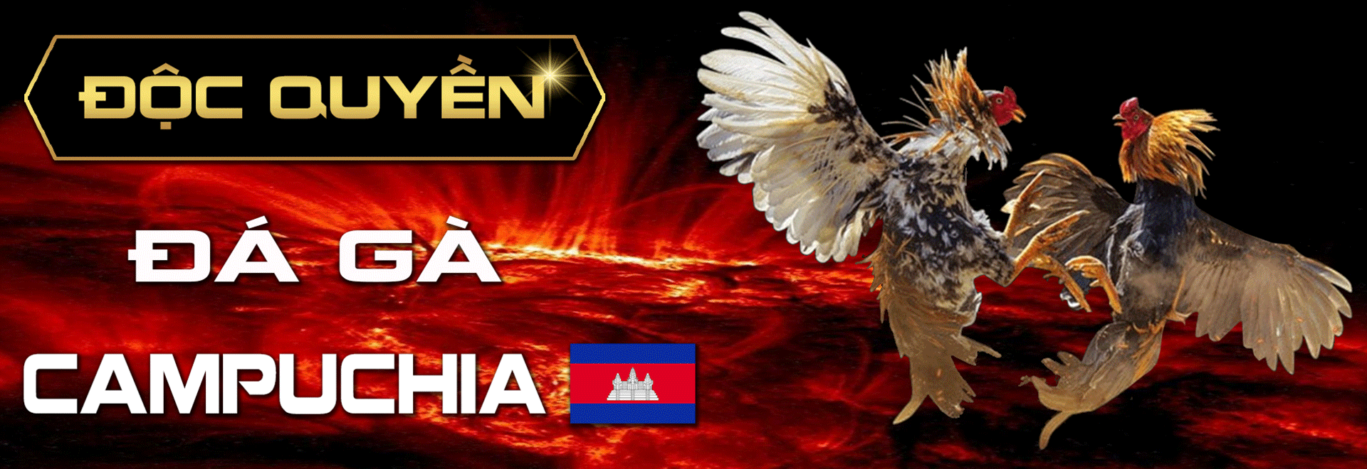 Trực tiếp đá gà cựa dao nhà cái Rik88 - Đam mê và Chiến thắng